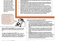 HPV Factsheet
