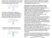 Menstrual Cycle-Spanish