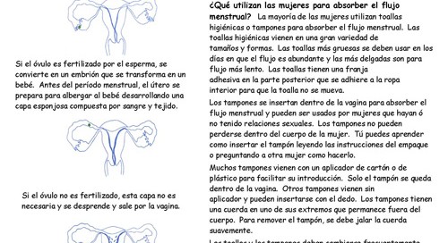 Menstrual Cycle-Spanish